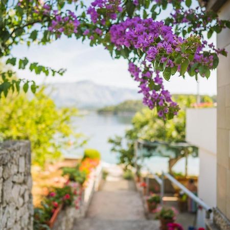 Apartments By The Sea Lumbarda, Korcula - 4446 Exterior foto